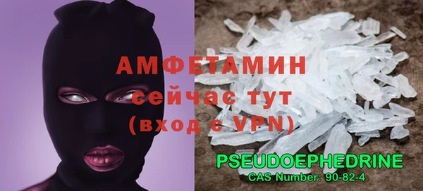 крисы Лагань