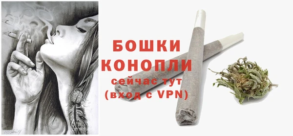крисы Лагань