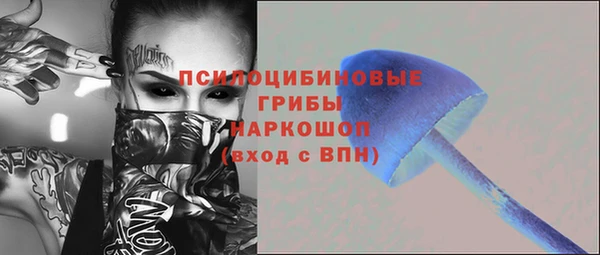 первитин Ладушкин