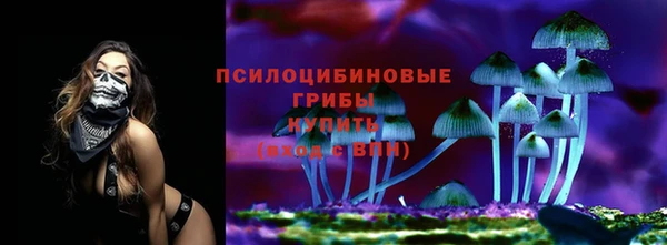 ECSTASY Лабытнанги