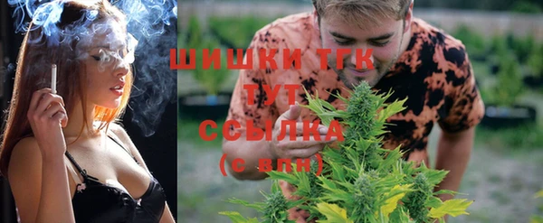 первитин Ладушкин